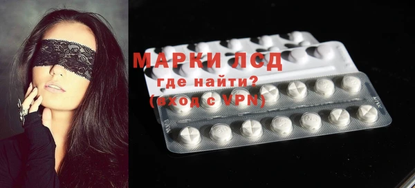 индика Вязники