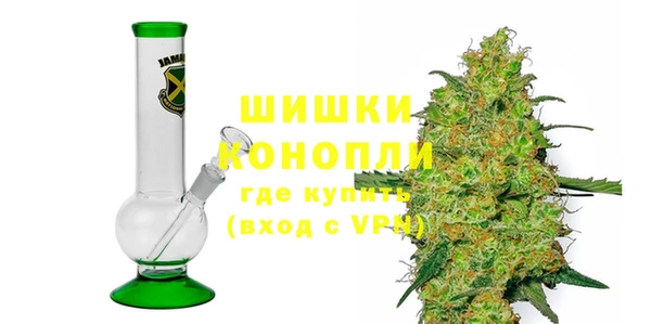 индика Вязники