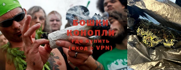 индика Навашино