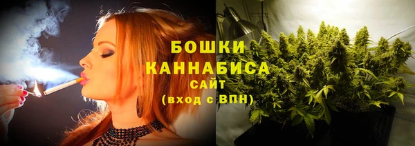индика Вязники