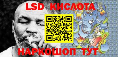 спиды Камышлов