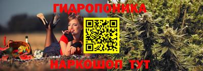 шишки Абакан
