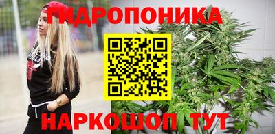 шишки Абакан