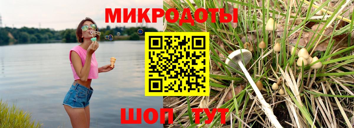 Галлюциногенные грибы Psilocybe  Санкт-Петербург 