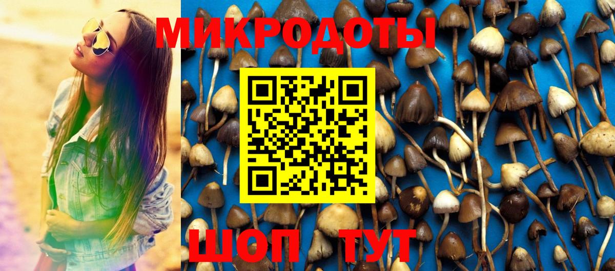 Галлюциногенные грибы прущие грибы  Псилоцибиновые грибы GOLDEN TEACHER  Вход с VPN  Санкт-Петербург 