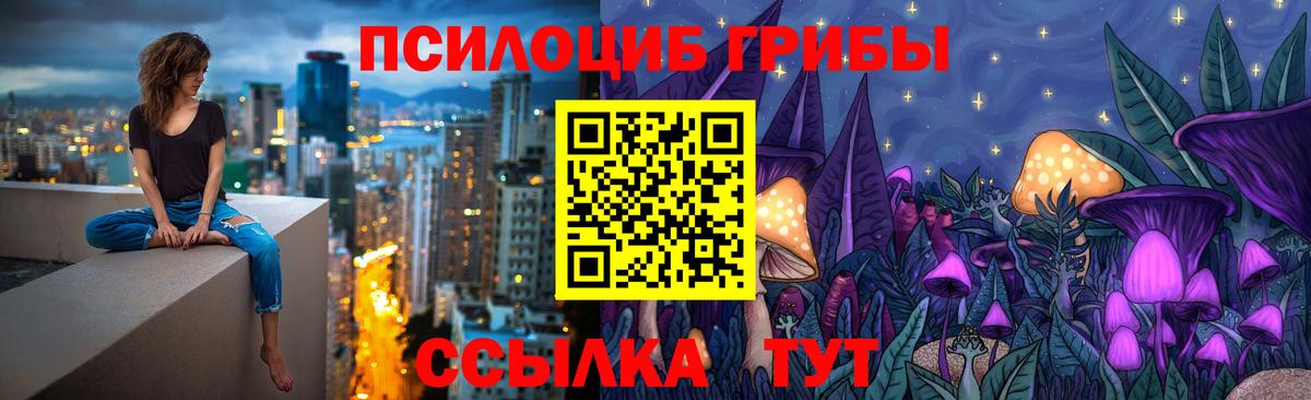 Галлюциногенные грибы прущие грибы Санкт-Петербург